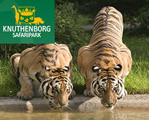 Knuthenborg Safaripark BandholmZapraszamy do największego w Europie Północnej Parku Safari. Zwiedzający mogą chodzić wśród zwierząt, a czasami nawet je pogłaskać. Wybierz, czy po parku wolisz chodzić czy jeździć.
Czynne od kwietnia do października.