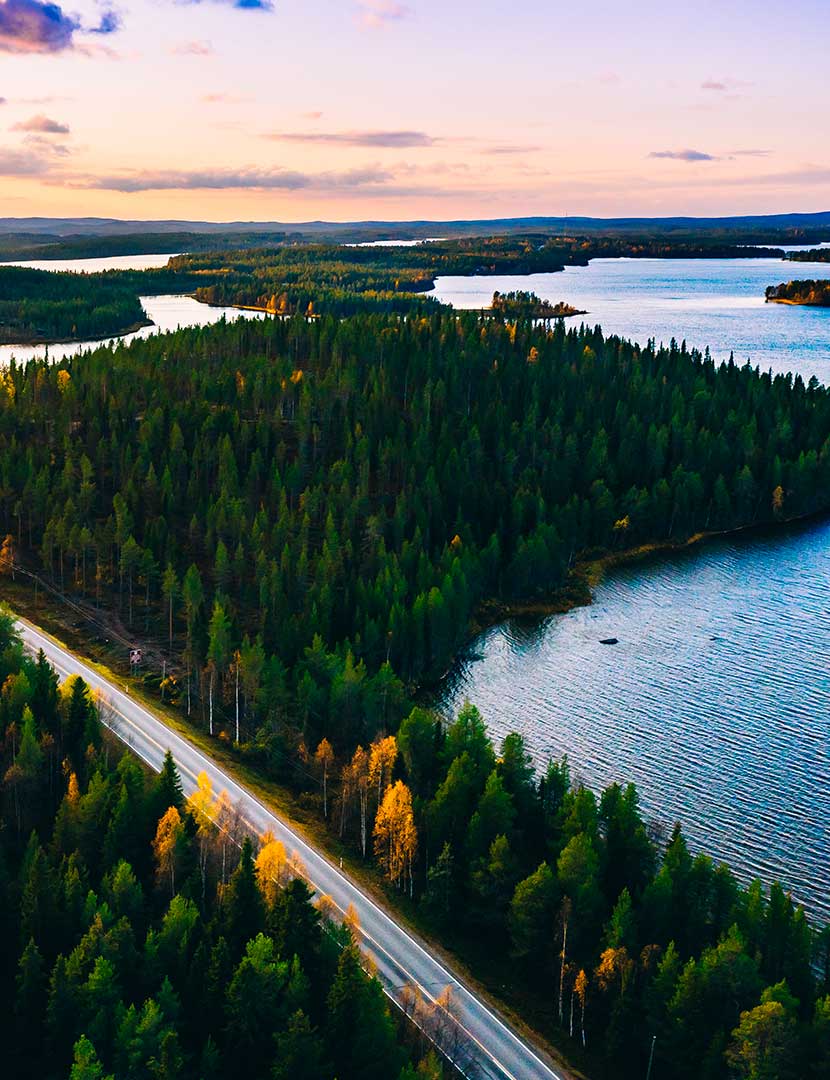 Roadtrip i SverigeBoka årets favorit