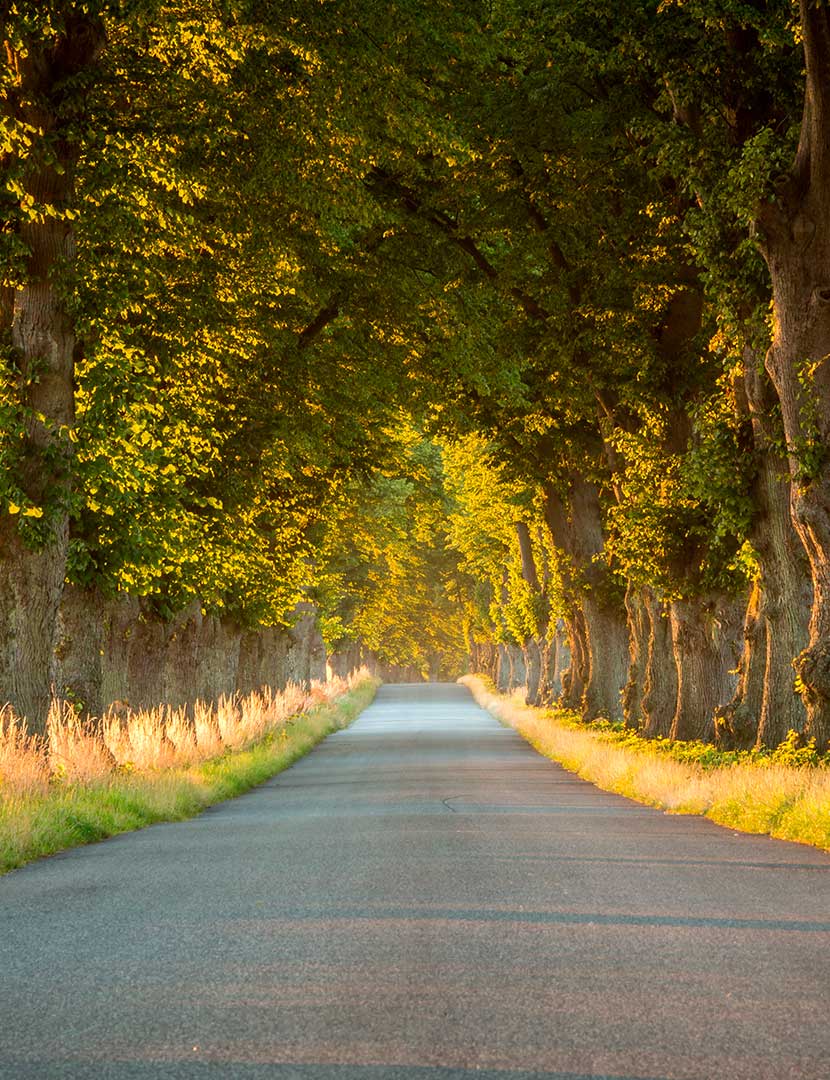 Roadtrip i DanmarkUnderbara upplevelser väntar hos vår granne