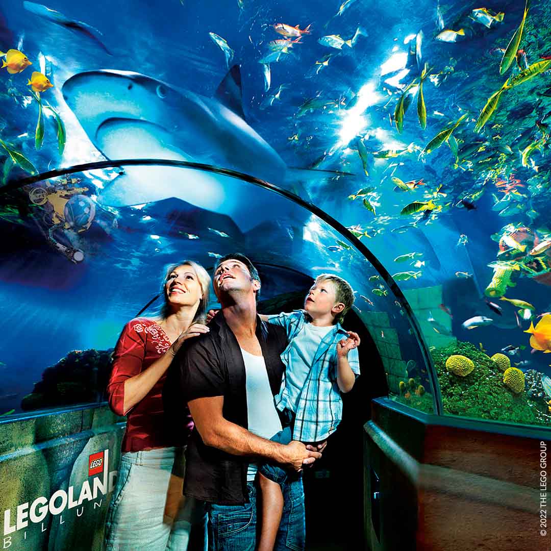 CabInn VejleFra: 5.440 kr/2 voksne &amp; 2 barn
inkl. 2 netter &amp; inngang til Legoland dag 2